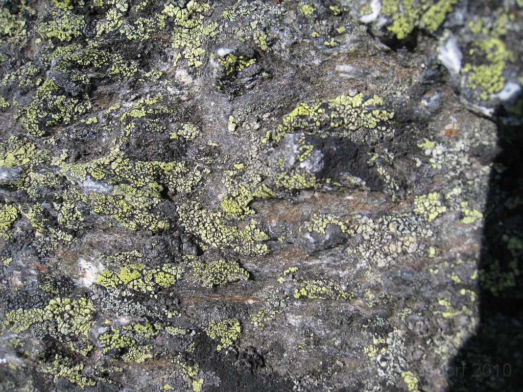 Mt Washington NH 2010 0495.jpg - Mt Washington NH. On May 23 2010 drove the road to the summit. Looked at the views, took some pictures, and drove back down.